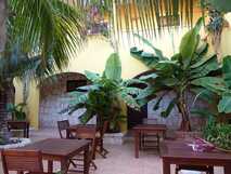 Orchidea Guesthouse auf Boa Vista, idyllischer Innenhof mit tropischer Pflanzenpracht und gemütlichen Sitzgelegenheiten.