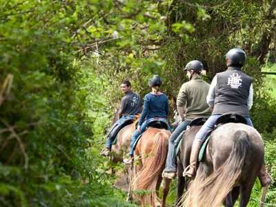 Reiten auf den Azoren - Trailreiten auf Faial