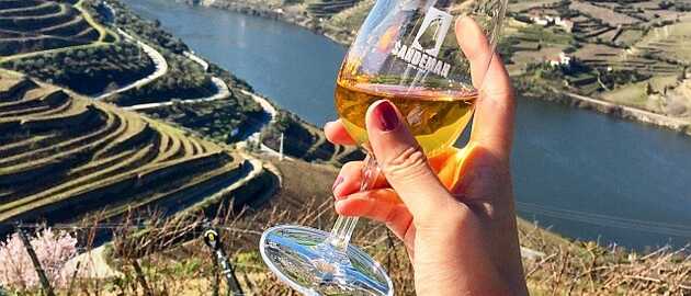 Weinglas vor Weinreben bei einer Weinprobe im Douro-Tal. Weinreise Portugal