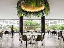 Hotel Azoris Royal Garden auf São Miguel, modernes und lichtdurchflutetes Restaurant mit stilvoller Einrichtung und grünen Pflanzenakzenten – ideal für entspannte Genussmomente bei picotours.