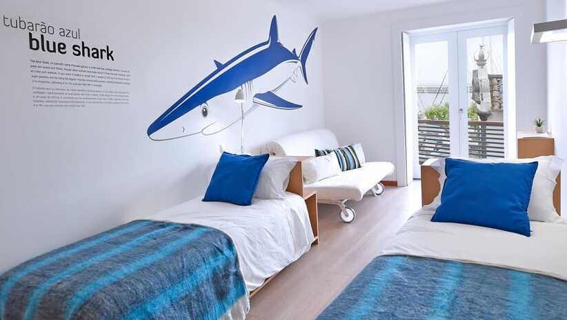 Blueshark 01