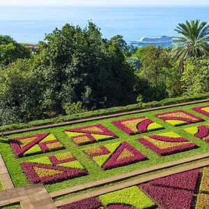 Choreographierte Gärten - ein Highlight im Botanischen Garten Funchal
