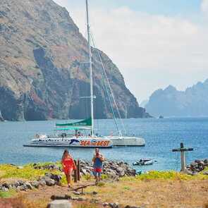 Fc3f7dff-0b02-47df-b7a7-97b2e7d84ac5 large