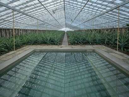 Senhora da Rosa Tradition & Nature Hotel – Einblick in den stilvollen Gewächshaus-Pool, der Natur und Tradition auf São Miguel harmonisch verbindet.