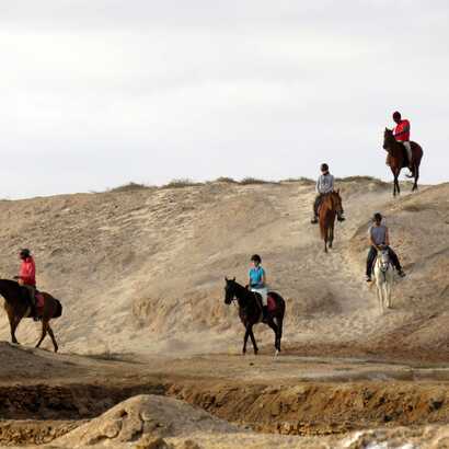 Pferdetrekking-sal-insel