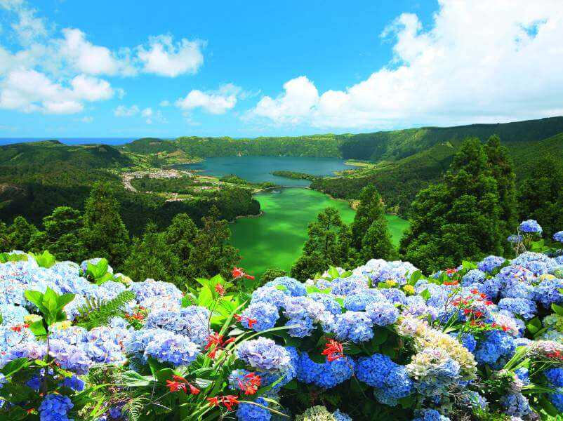 Blick vom Azoren Aussichtspunkt Vista do Rei auf blühende Hortensien und die Zwillingsseen Sete Cidades