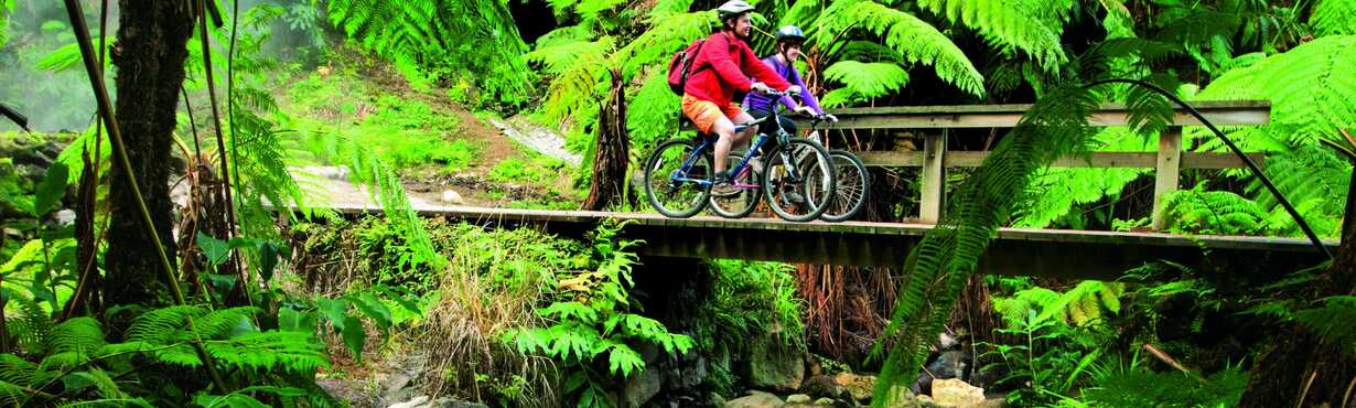 Mountainbiken auf Sao Miguel und Terra Nostra Garden