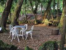 Solar do Conde auf Sao Miguel, idyllische Outdoor-Sitzecke im schattigen Garten für entspannte Momente in der Natur.