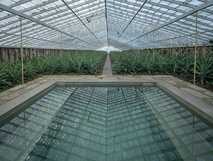 Senhora da Rosa Tradition & Nature Hotel – Einblick in den stilvollen Gewächshaus-Pool, der Natur und Tradition auf São Miguel harmonisch verbindet.