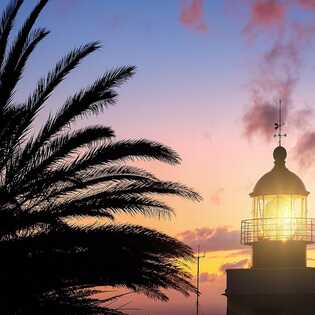 Madeira-ponta-do-pargo