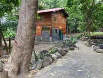 Außenbereich und Fußweg zu Haus in Mucumbli Ecolodge Sao Tome