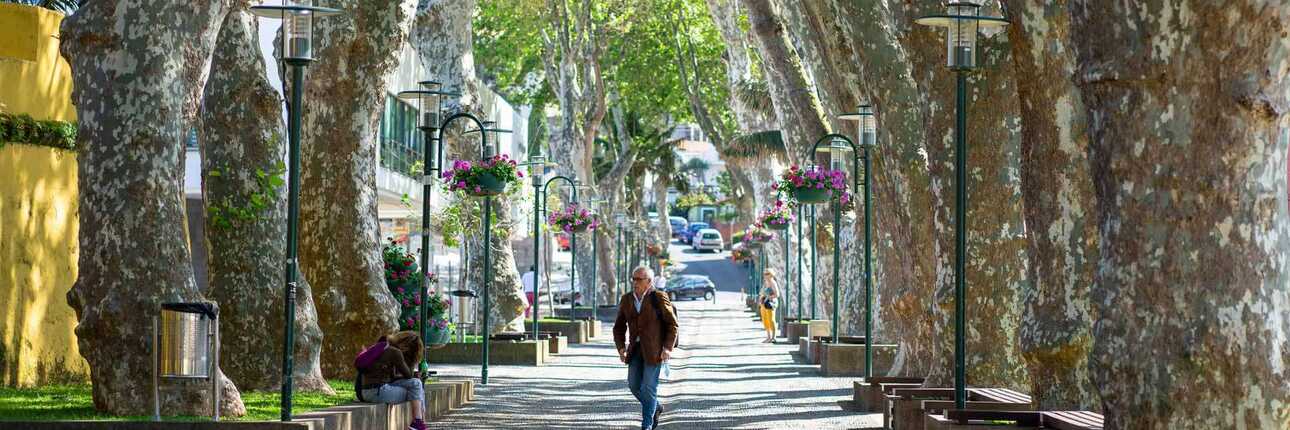 Baumgesäumte Promenade im Zentrum von Machico mit flanierenden Menschen.