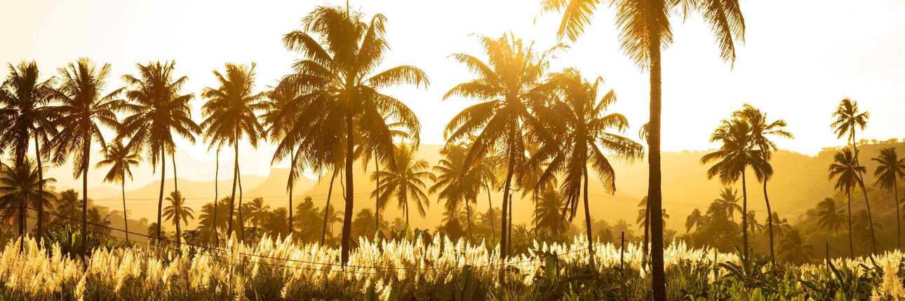 Uhrzeit, Zeitverschiebung und Termine werden realativ auf den Kapverden