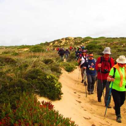 2ecace01-96e8-4ccf-9de3-b1e5d3eac4c2 large