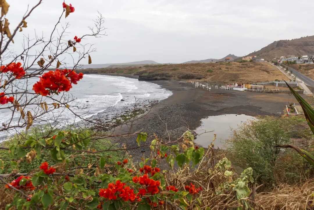 Schwarzer Sandstrand bei Calheta de São Miguel auf Santiago, Kapverden, umgeben von blühender Küstenvegetation.