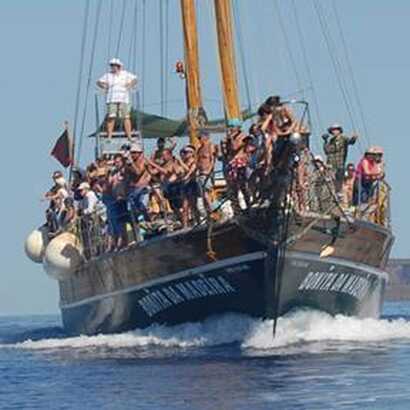 Historische-bootsfahrt-madeira-karavelle-meer-delfin