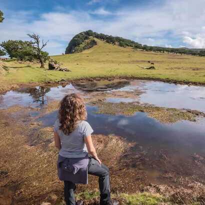 Maerchenwald madeira wanderin