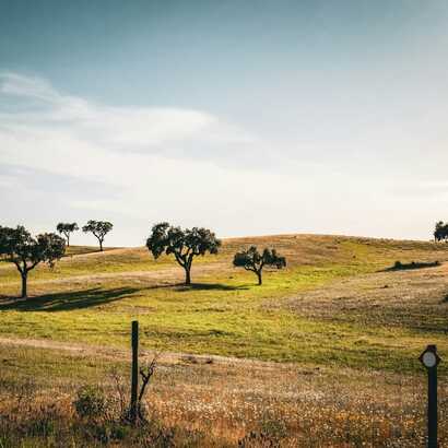 Photo-1680762134192-a1e0637defc7