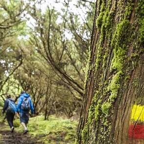 Wanderung-misterios-negros-terceira