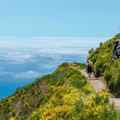 Wanderung-prazeres-ponta-do-pargo-weg-mit-ausblick