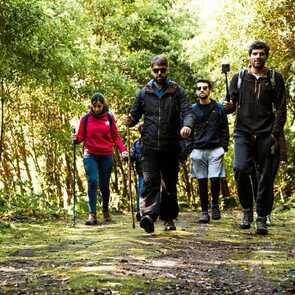 Walking Trails
