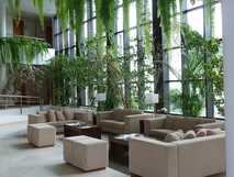 Caloura Hotel Resort auf Sao Miguel, elegante Lobby mit bequemen Sofas und üppiger grüner Pflanzenkulisse für entspannte Urlaubsmomente.