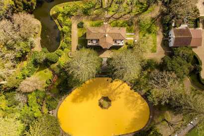 Highlight jeder Azoren Reise - der Terra Nostra Park in Furnas
