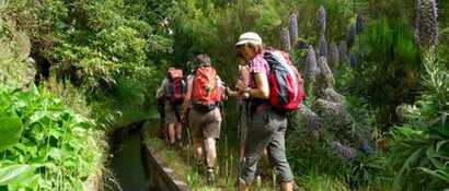 Wandergruppe entlang eines Wasserkanals auf Madeira