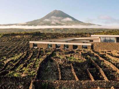 Hotel-azores-wine-company-vulkanblick-weinberge