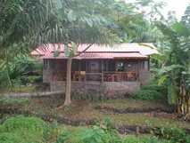 Natürlich bewachsener Außenbereich mit Lodge im Bild in Mucumbli Ecolodge Sao Tome