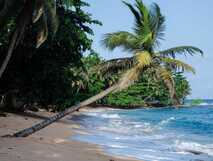Traumhafter Palmenstrand der Praia Inhame Ecolodge auf Sao Tome
