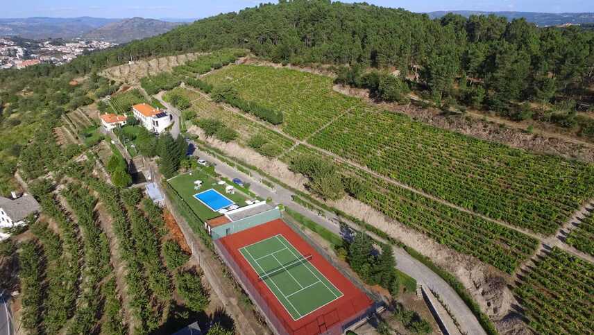 Quinta-da-timpeira-f3595d3f-f3d3-42bc-974f-ed6e798c408c