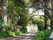 Garten des Albatroz Beach Club auf Madeira