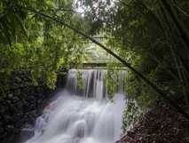 Quinta da Mo auf Sao Miguel – idyllische Natur mit sanftem Wasserfall und üppiger Vegetation, perfekt zum Entspannen bei picotours.