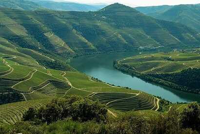 Blick auf die grünen Weinterrassen und der Douro-Fluss, der sich durchschlängelt, perfekt zum Wandern im Dourotal