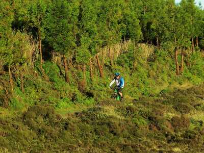 Mountainbike Tour Furnas auf Sao Miguel