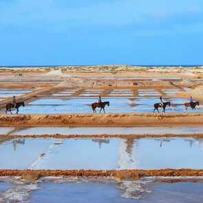 Salzfelder-reitausflug-sal