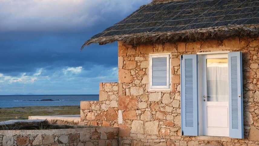 Spingueira-ecologe