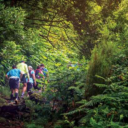 Trailcamp 013