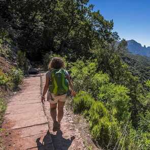 Wandern-forellenlevada-madeira-gebirge