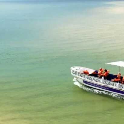 23994d75-9925-4a76-a34b-f7a5c848368f large