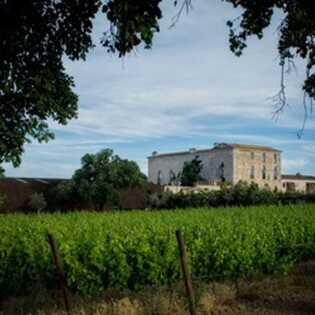 30fe5e39-6aba-46e4-847b-8e28469e3bac large