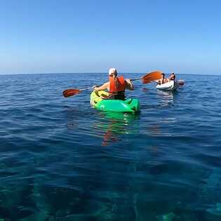 7de905a8-cb3d-4915-85e0-b3abc4e36719 large