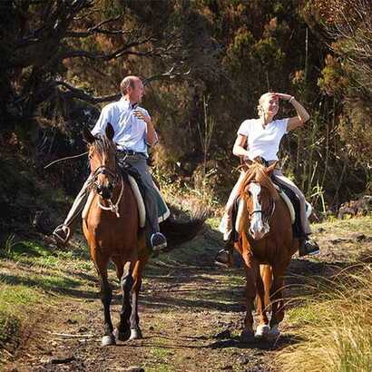 Reiten auf Faial: Das Glück dieser Erde...