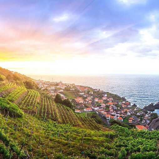 Madeira Wein