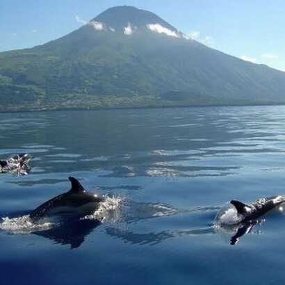 Delfine-und-pico-vulkan
