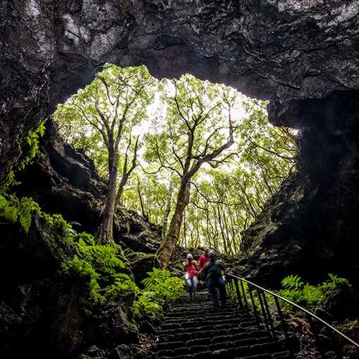 Höhleneingang der Gruta das Torres auf der Azoreninsel Pico
