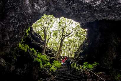 Höhleneingang der Gruta das Torres auf der Azoreninsel Pico