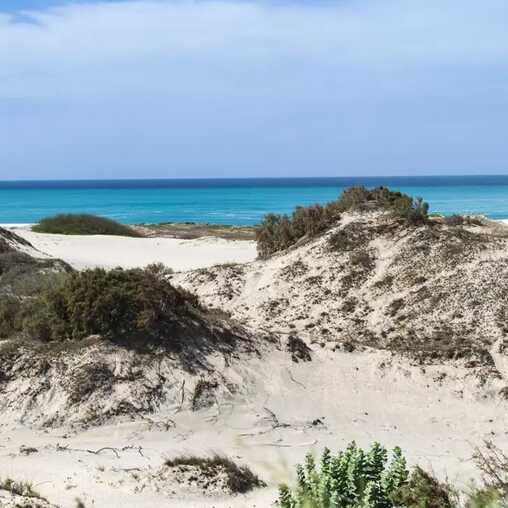 Sanddünen mit Blick auf das türkisfarbene Meer auf der ruhigen Insel Maio, Kapverden.