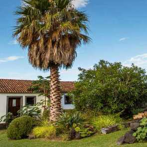 Jardim-do-triangulo-ferienhaus-pico-palmengarten